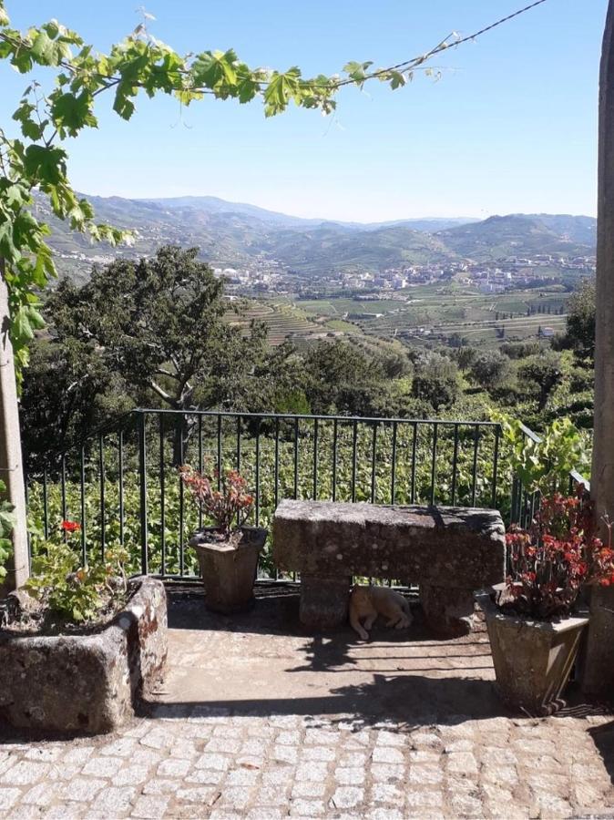 Quinta Casa Do Quintal *
