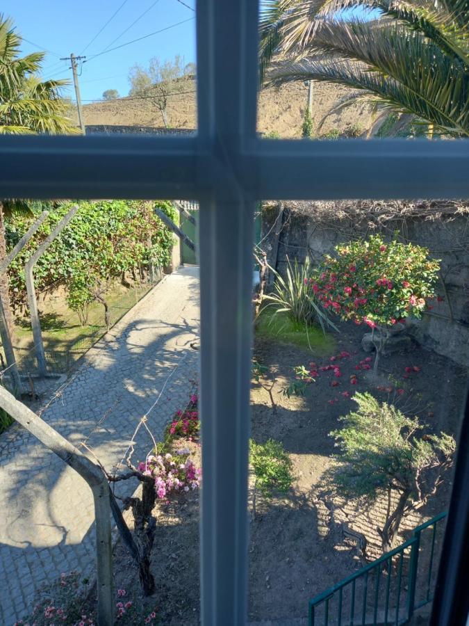 Farm stay Quinta Casa Do Quintal *