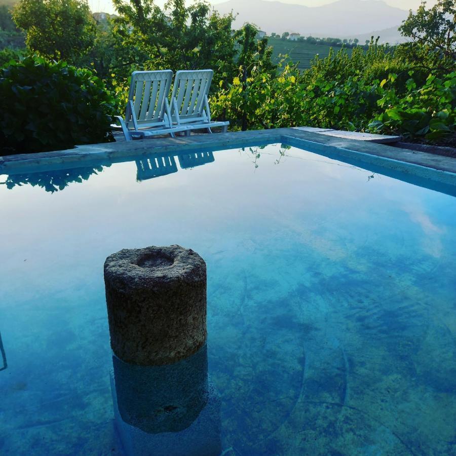 Quinta Casa Do Quintal Farm stay