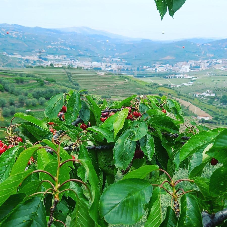 Farm stay Quinta Casa Do Quintal