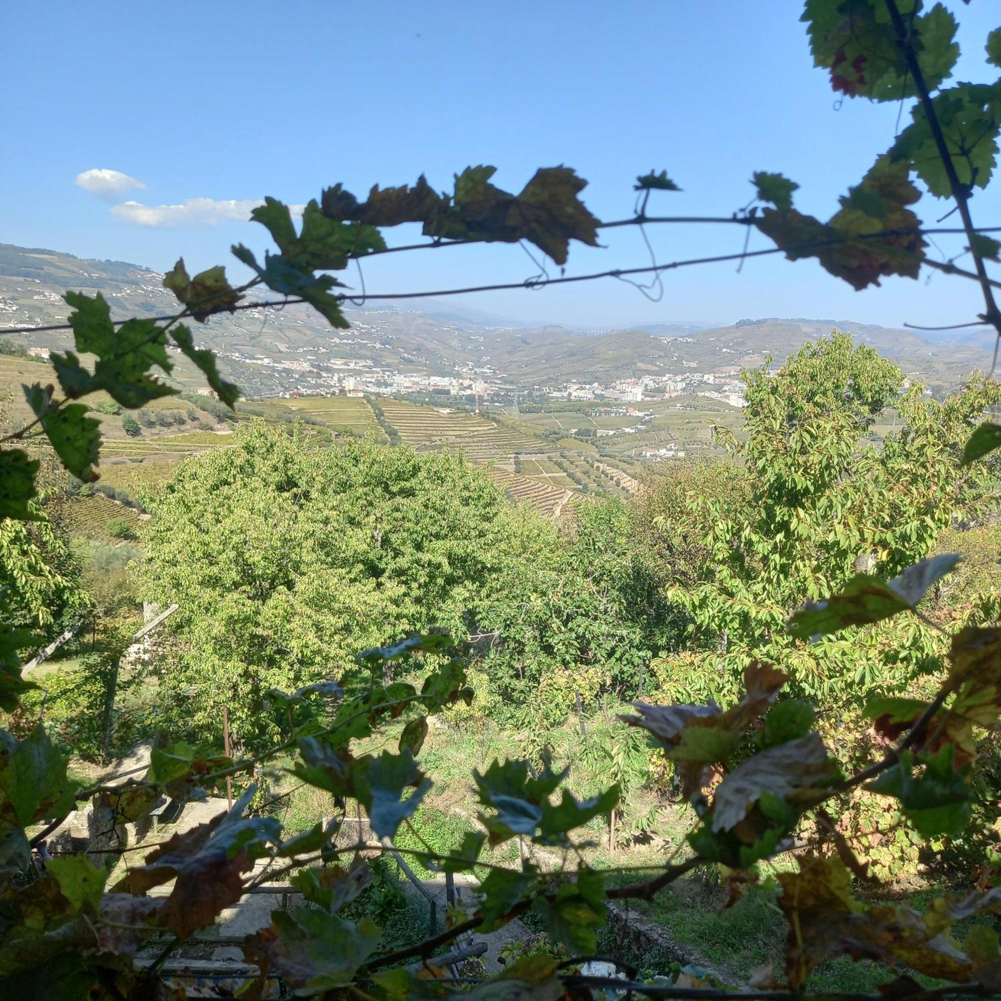 Farm stay Quinta Casa Do Quintal Lamego